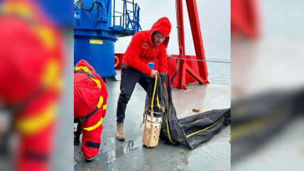  Microorganismos chilenos a la Estación Espacial: El proyecto de la NASA en la Antártica 