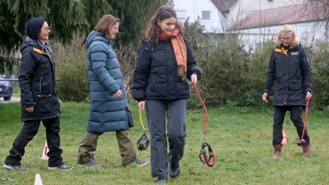 Hobby Dogging: La nueva tendencia viral que consiste en pasear perros imaginarios