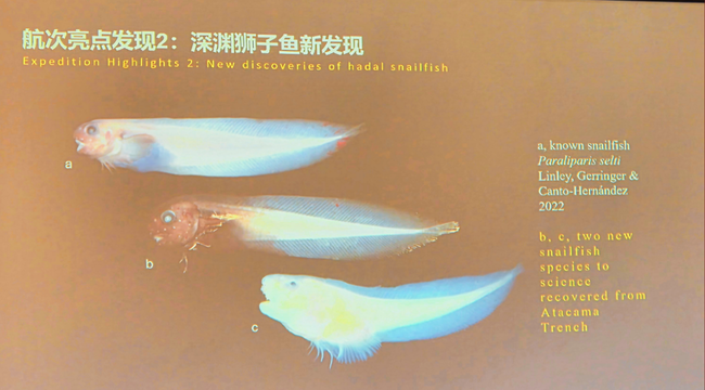 Imagen foto_00000013