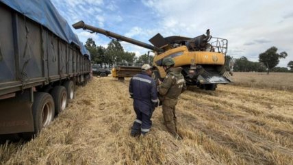   Demora en nombramiento de autoridades en La Araucanía preocupa a gremios agrícolas 