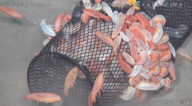 Imagen foto_00000027