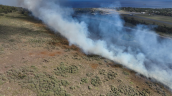Incendio forestal arrasó 20 hectáreas en Rapa Nui