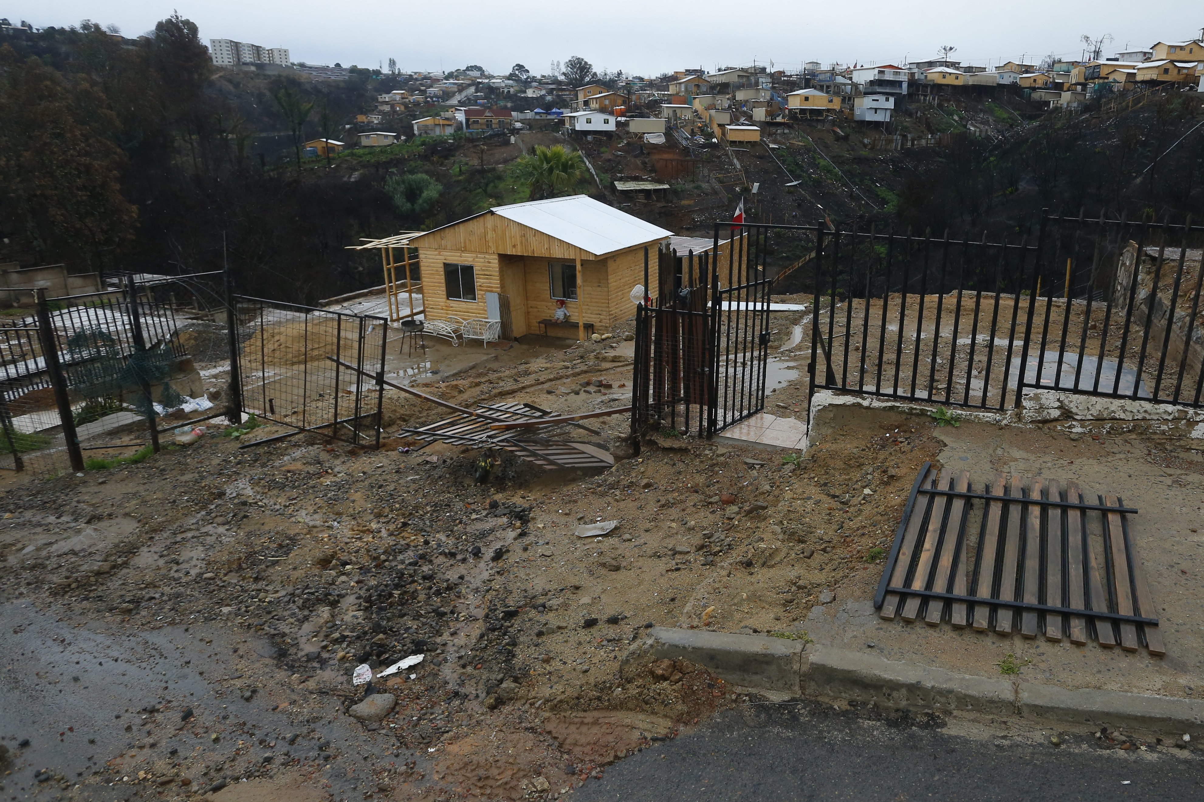 Imagen foto_00000004