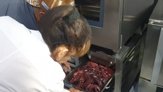 Salud cursó siete sumarios tras fiscalizaciones por Semana Santa en Antofagasta