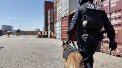   Detectan envíos marítimos con cargas con cocaína y ketamina destinadas a Europa y Norteamérica 