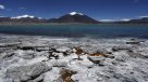 Greenpeace: Es perfectamente posible compatibilizar crecimiento económico y cuidado ambiental