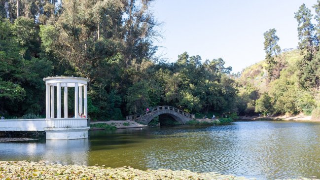 Autoridades confirmaron gripe aviar en un ganso del Jardín Botánico de Viña del Mar