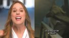 Stefan Kramer estrenó imitación de la vocera Mara Sedini