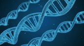 El ADN antiguo indicó que la selección natural se aceleró en la evolución humana reciente