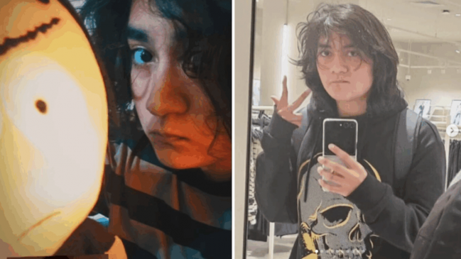 No a la enajenación mental: Corte rechazó recurso de estudiante imputado por crimen de inspectora