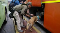 Autoridades fiscalizaron terminales de buses por fin de semana largo