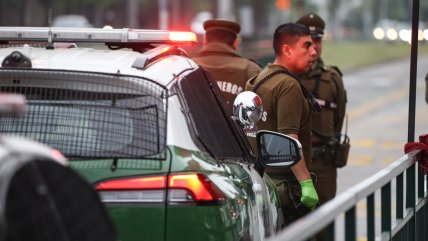   Puente Alto: Carabineros encontró 57 plantas de marihuana en un domicilio 