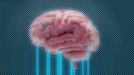   Por qué la neurociencia y los vínculos humanos son la clave del siglo XXI 