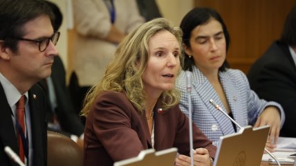   Gratuidad: Gobierno detecta inconsistencias en postulaciones y proyecta caída de beneficiarios 
