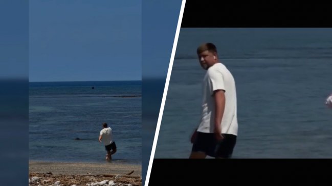 Atacó a una foca y habitantes de Hawái lo encontraron y golpearon