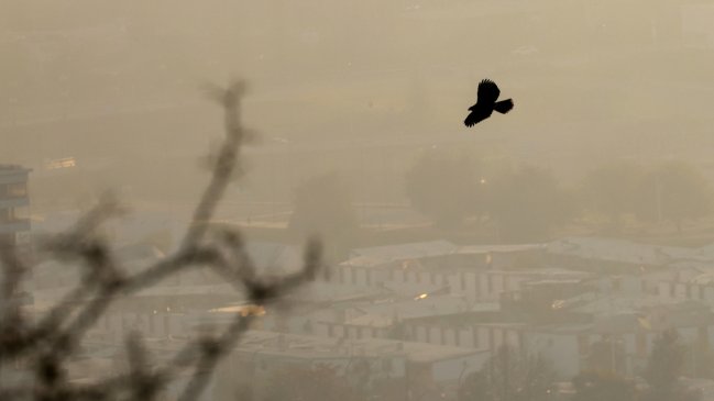 Alerta Ambiental para 17 comunas de O'Higgins este domingo