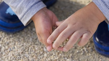 Fundación Amparo y Justicia: Los homicidios de niños han aumentado mucho, pero son invisibilizados