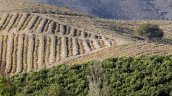 Kast anticipa nuevos impulsos al sector agrícola y la seguridad hídrica