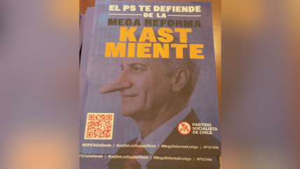  Timonel y jefe de bancada se desmarcan del panfleto PS con imagen de un Kast-Pinocho 