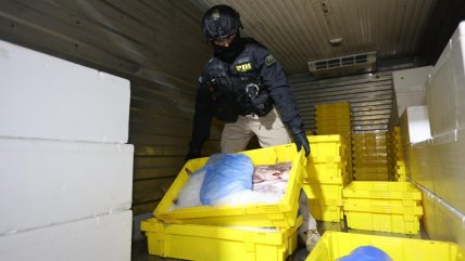   Desbaratan red de tráfico de productos del mar: Hay funcionarios públicos detenidos 