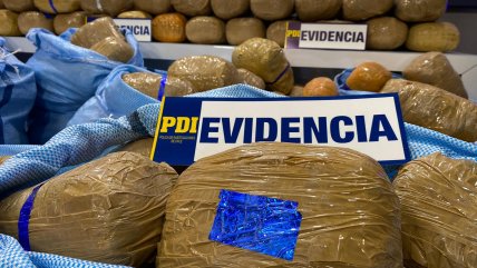   Narcos dejaron camioneta con 440 kilos de marihuana en estacionamiento de supermercado 