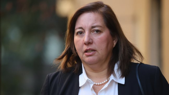 Registro de Vándalos: senadora Vodanovic lo califica de 