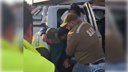  Mujer de 55 años y su perro sobrevivieron cuatro días perdidos en Quellón  