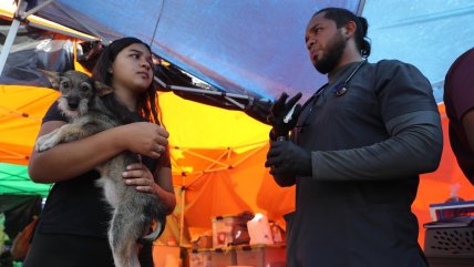   Voluntarios entregaron asistencia veterinaria tras doble terremoto en Venezuela 