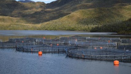   Municipios y salmoneras debaten sobre actividad productiva en el Lago Llanquihue 