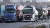 Bolivia pidió a Chile agilizar tránsito en paso fronterizo Colchane-Pisiga ante quejas de camioneros
