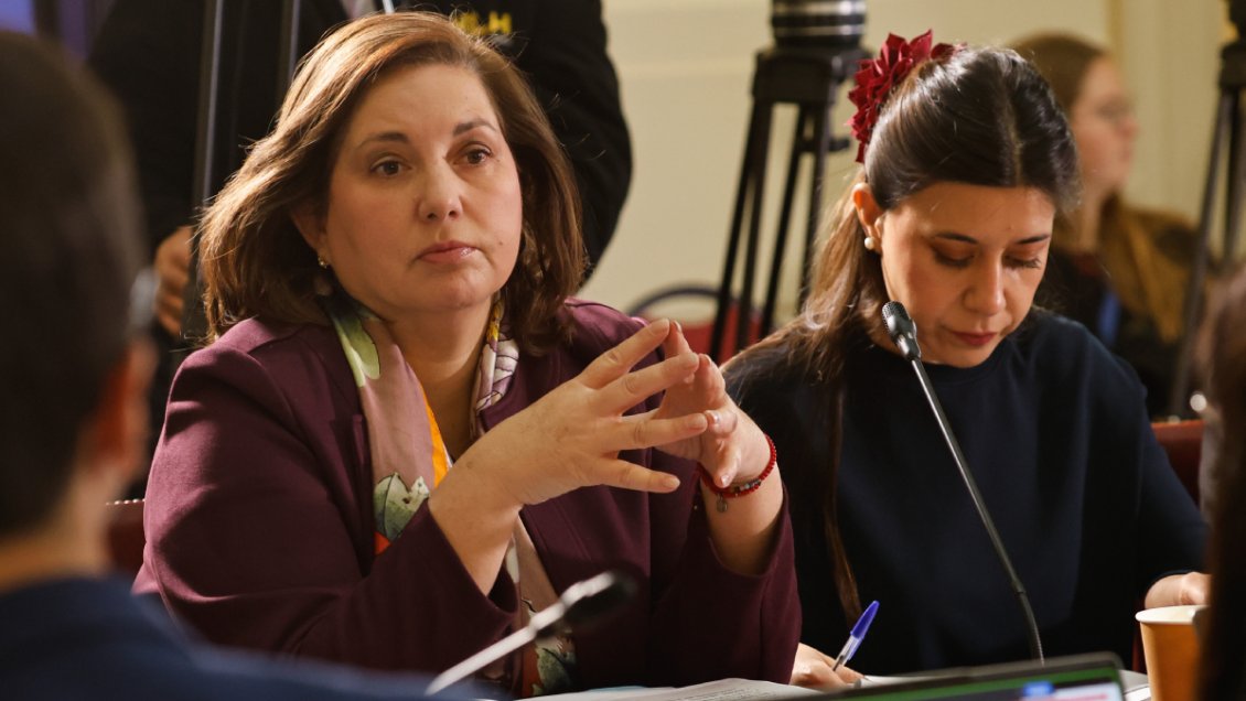 Cisma en el PS: Vodanovic se enfrenta a Cicardini por negociación de megarreforma