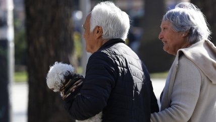   Estudio demostró que cinco hábitos cotidianos mejoran la salud cognitiva en la tercera edad 