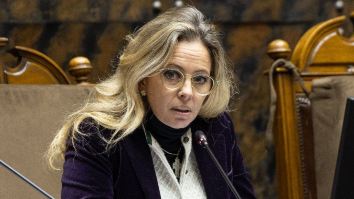 PNL pide apoyo del Gobierno a proyecto que desalienta el aborto: 