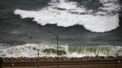  Caída de árboles y fuertes vientos marcan el inicio del sistema frontal en Valparaíso  