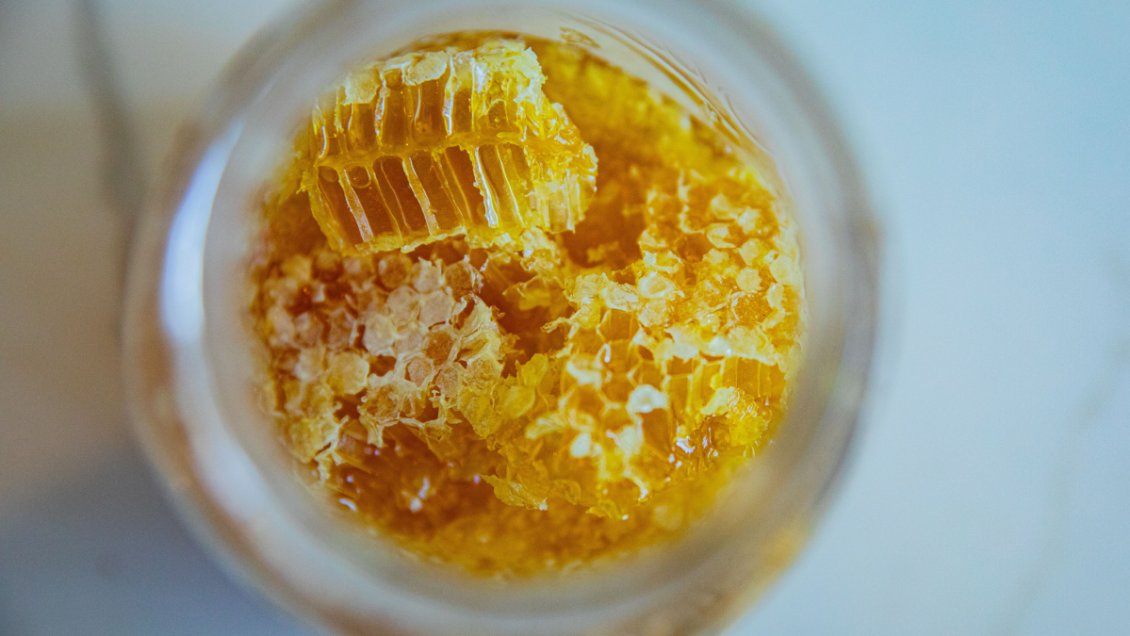 Buscan crear, con miel chilena, el próximo gran antibiótico natural del mundo