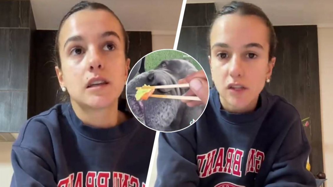 Influencer que dio wasabi a su perro tomó drástica medida en sus redes sociales