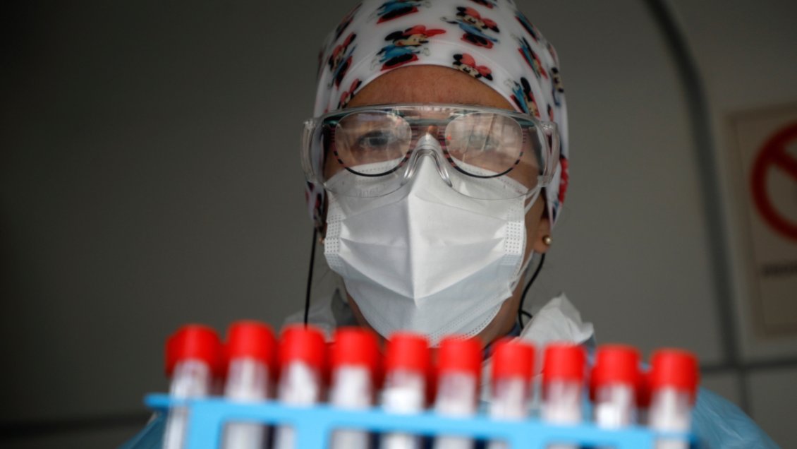 Seremi de Salud confirmó noveno caso de Hantavirus en Los Lagos