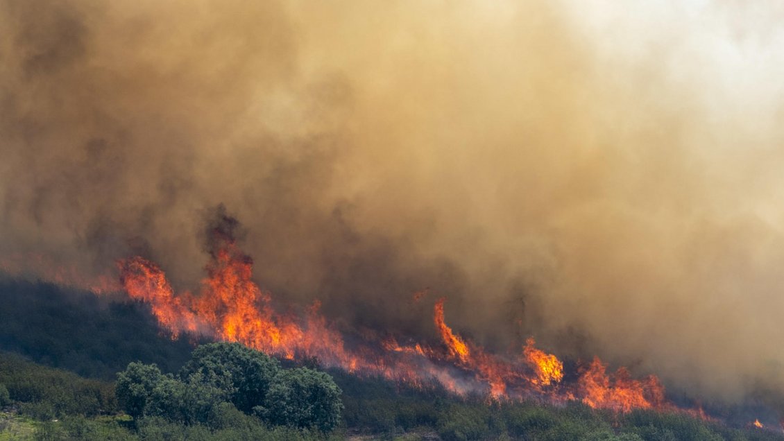 Incendios forestales en España: 73.000 evacuados y 25.000 hectáreas quemadas