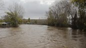 Maule: Declaran alerta amarilla por crecida del Río Lircay en San Clemente y Talca