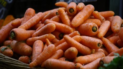   Advierten inminente alza en precio de hortalizas, leche y carne por estragos del temporal en el sur 