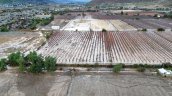 Sociedad Nacional de Agricultura: El Niño se está portando muy mal y va a causar mucho daño