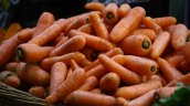 Advierten inminente alza en precio de hortalizas, leche y carne por estragos del temporal en el sur