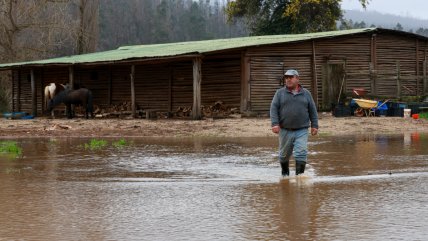  Biobío: Gobierno aplicó más de 1.300 fichas FIBE tras temporales  