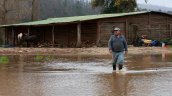 Biobío: Gobierno aplicó más de 1.300 fichas FIBE tras temporales