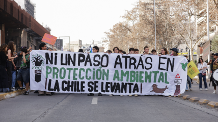 Masiva marcha por la Alameda en defensa del medioambiente y los animales