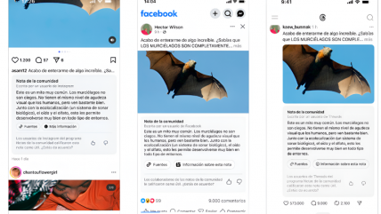  Meta incluyó a Chile en un plan piloto de verificación ciudadana de contenidos  