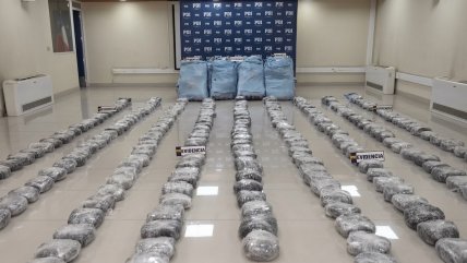   PDI desarticuló banda narco transnacional e incautó más de 800 kilos de marihuana 