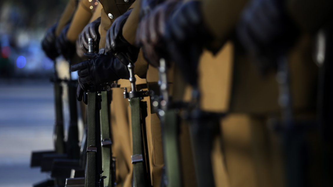 Dos carabineros activos y uno en retiro fueron detenidos por robo de madera y animales