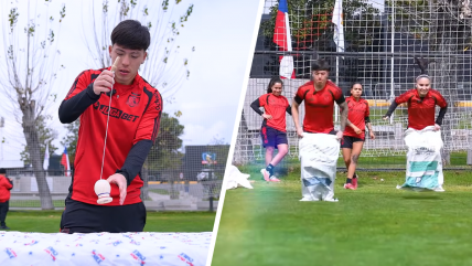   Equipo masculino vs. femenino: El 