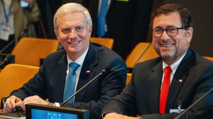 Schönhaut cuestiona 